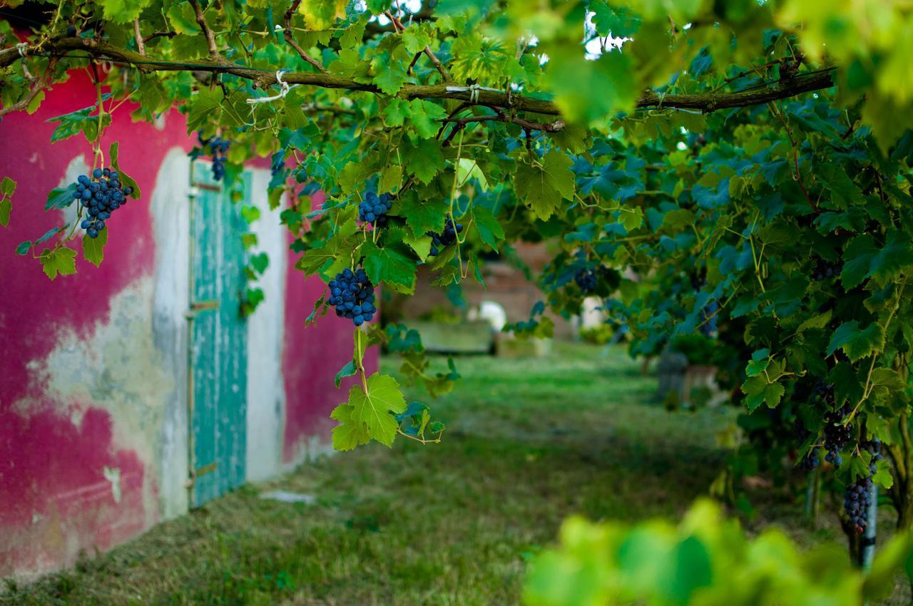 Agriturismo Valle Isola "La Tana Del Gusto" 코마키오 외부 사진