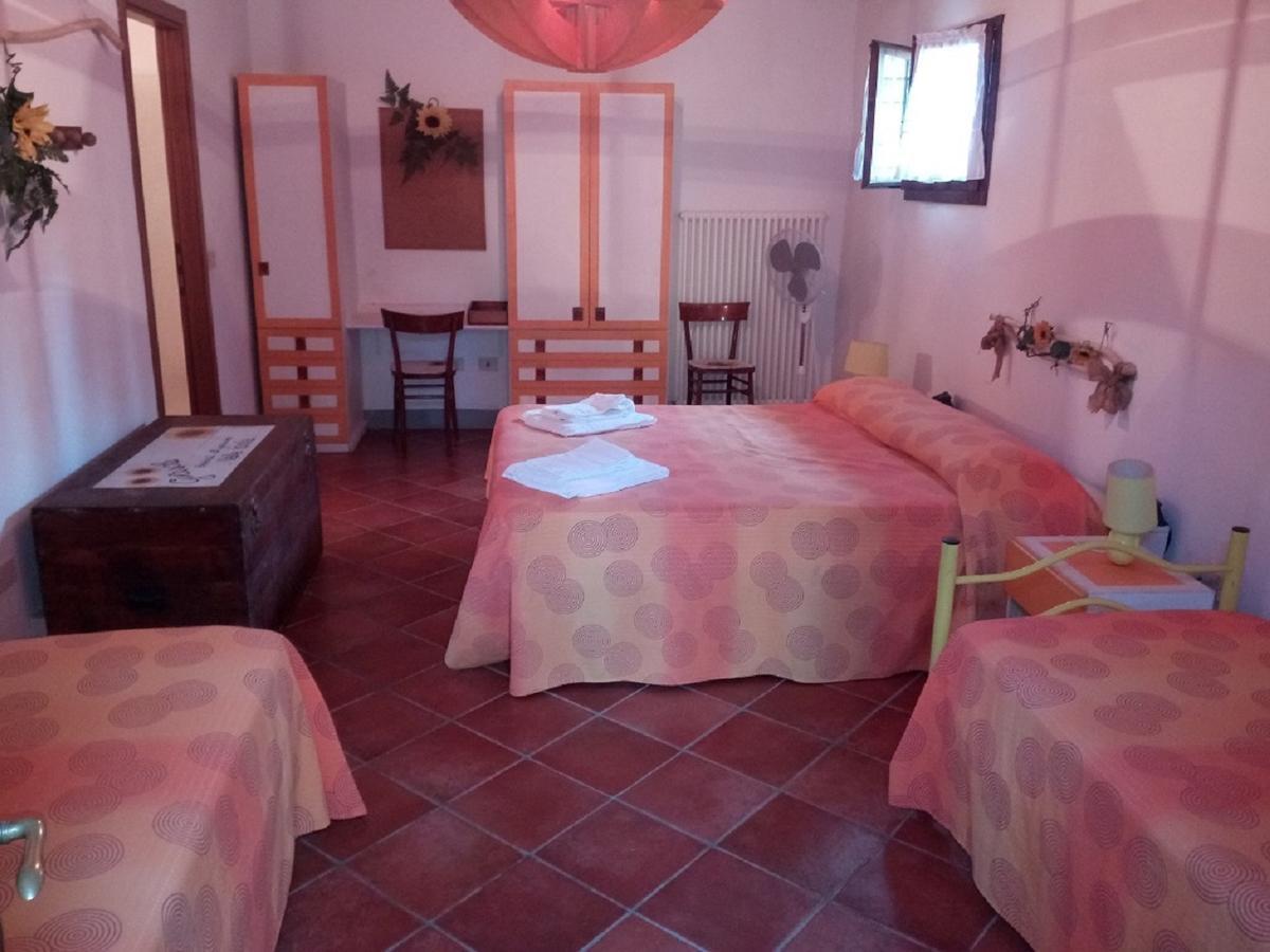 Agriturismo Valle Isola "La Tana Del Gusto" 코마키오 외부 사진