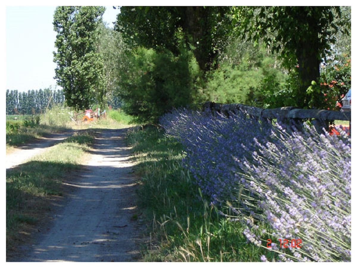 Agriturismo Valle Isola "La Tana Del Gusto" 코마키오 외부 사진